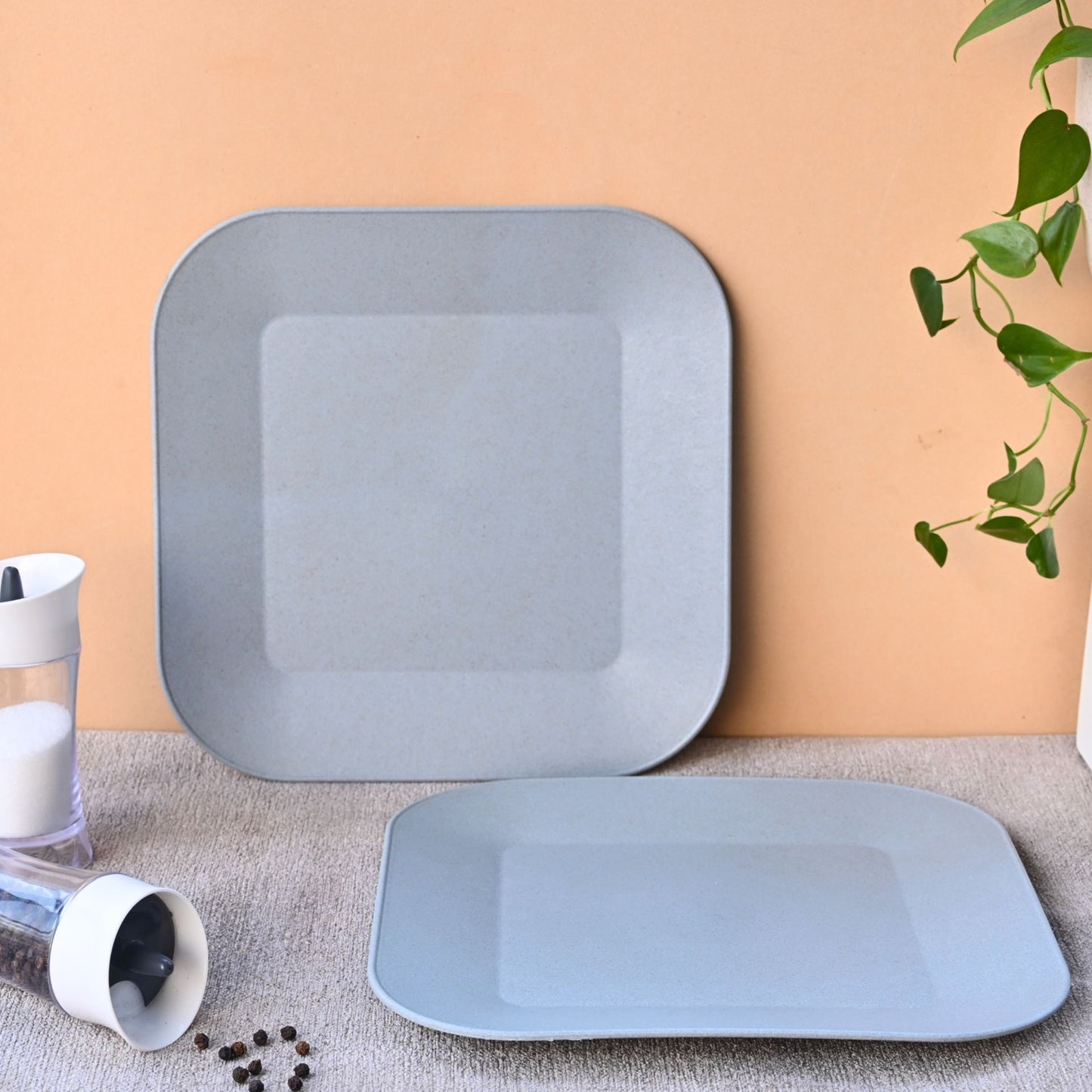Picnic Plate 9 inch