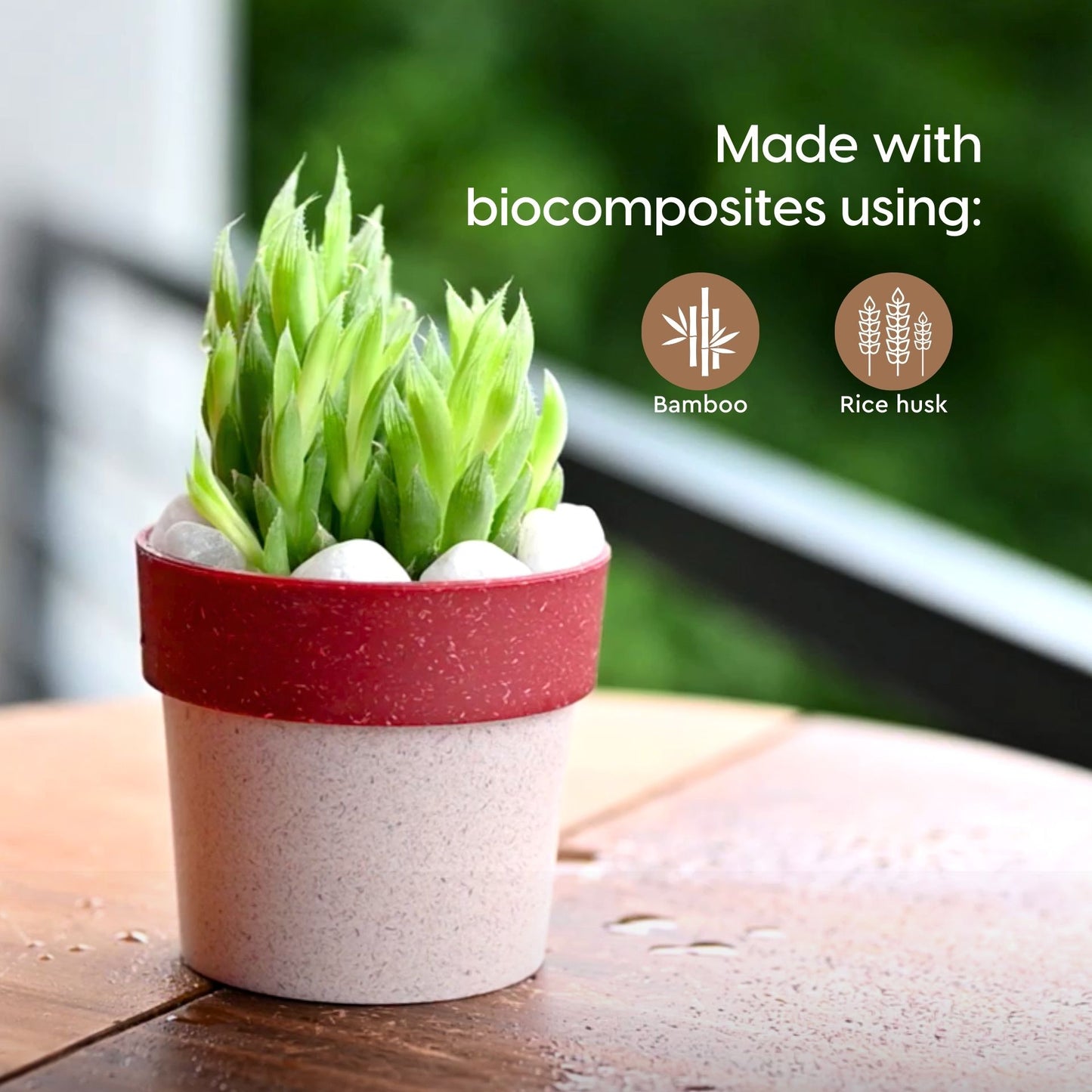 Simple planter 4 inch
