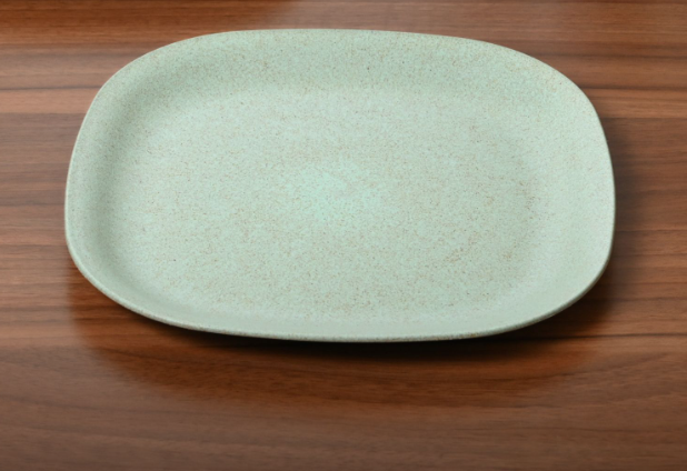 Dinner Plate 11 inches