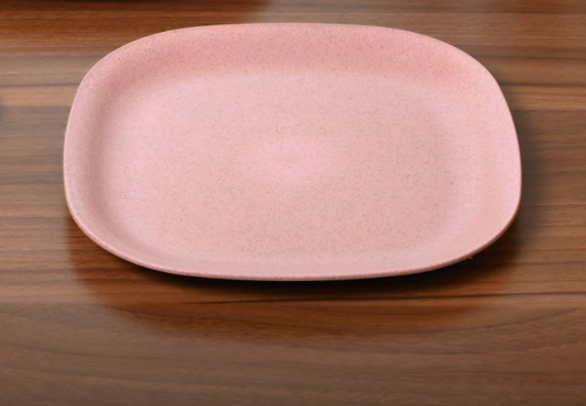 Dinner Plate 11 inches
