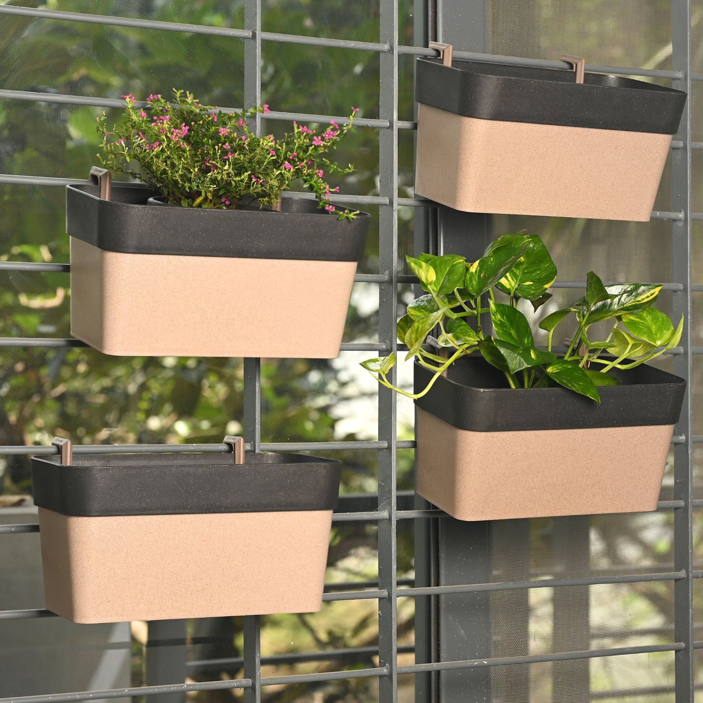 Hanging Planters 12 Inches