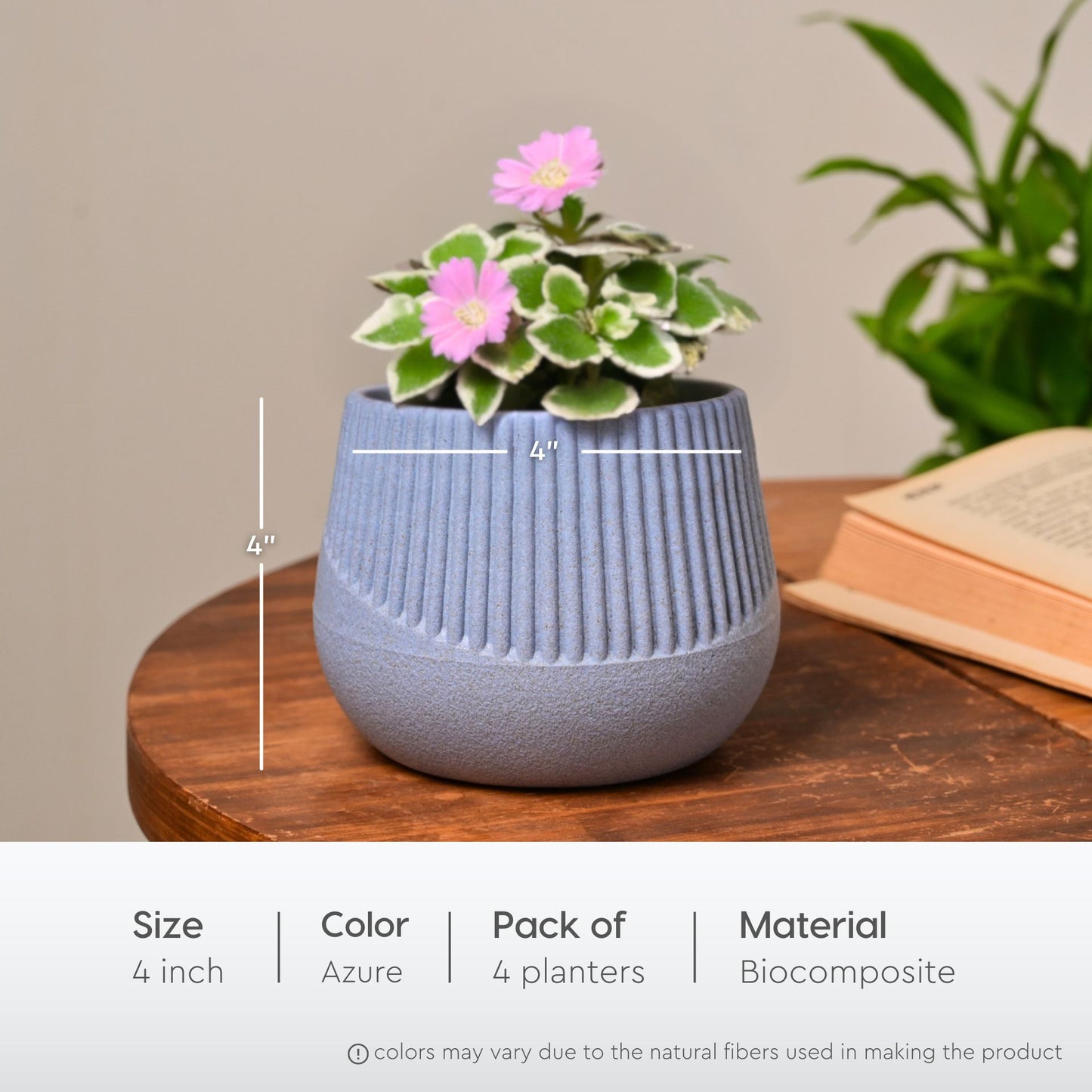 Oraa 4 inch small pots