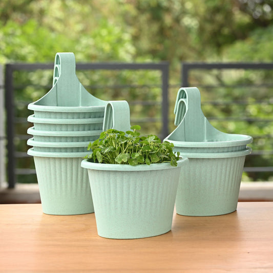 Ecotrend Hanging 10 Inches set of 8