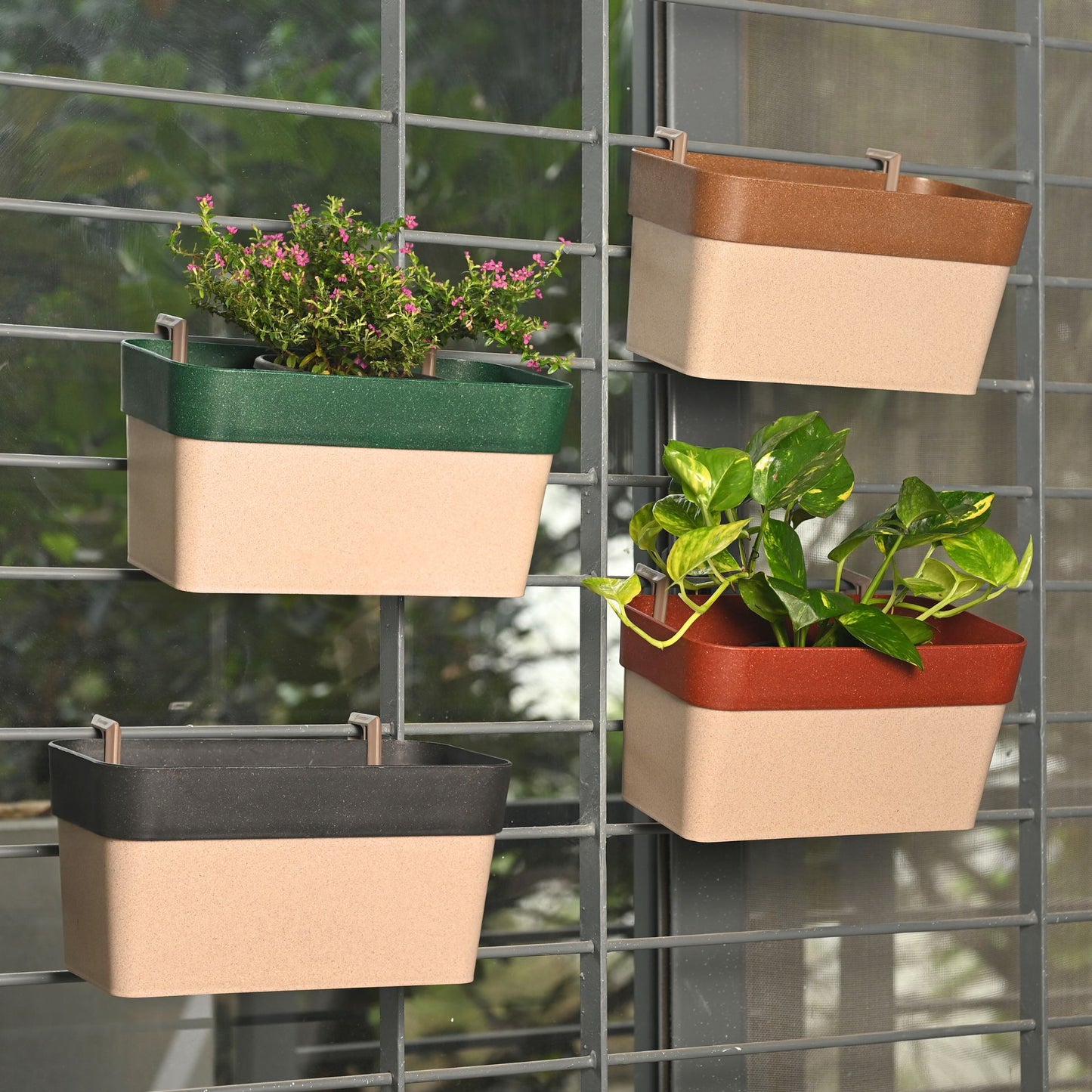 Hanging Planters 12 Inches