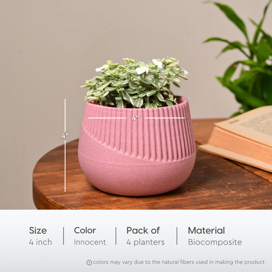 Oraa 4 inch small pots