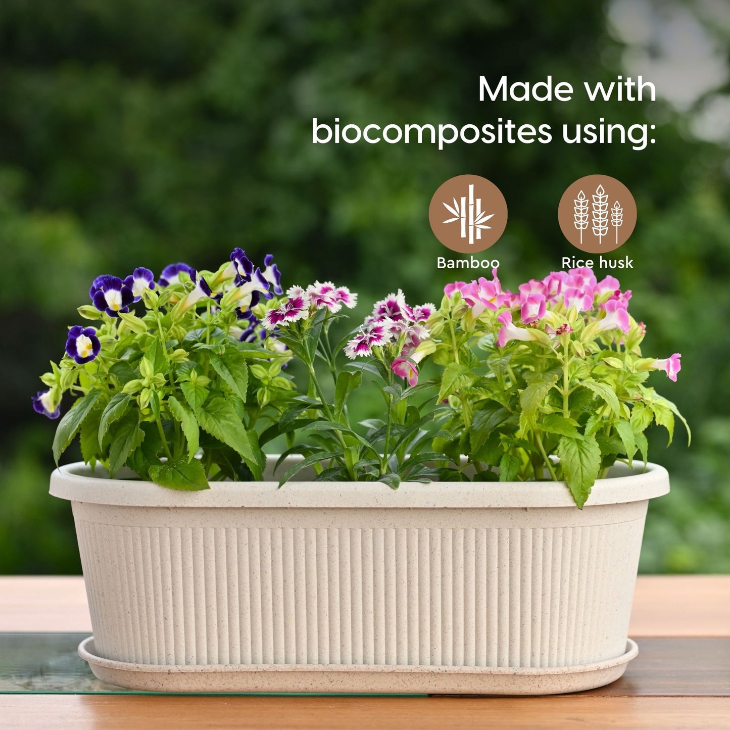 Tray Planters 12 Inch
