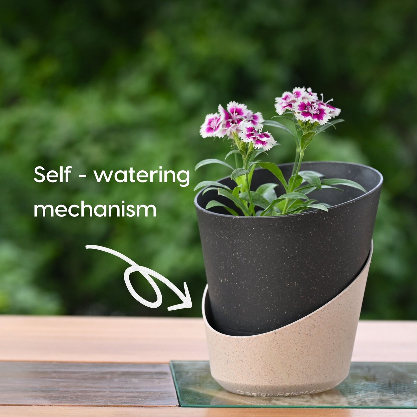 Planters EcoBloom 4 Inch