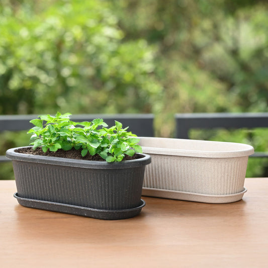 Tray Planters 12 Inch