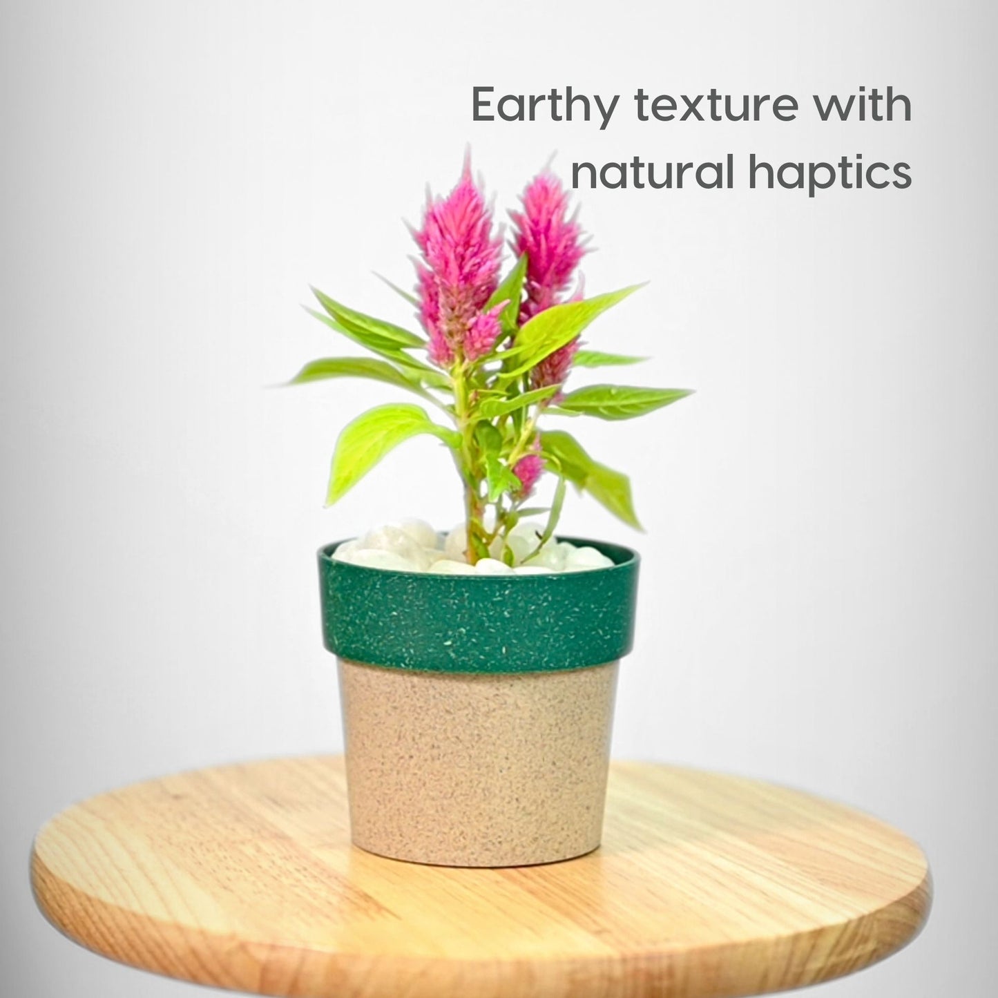 Simple planter 4 inch