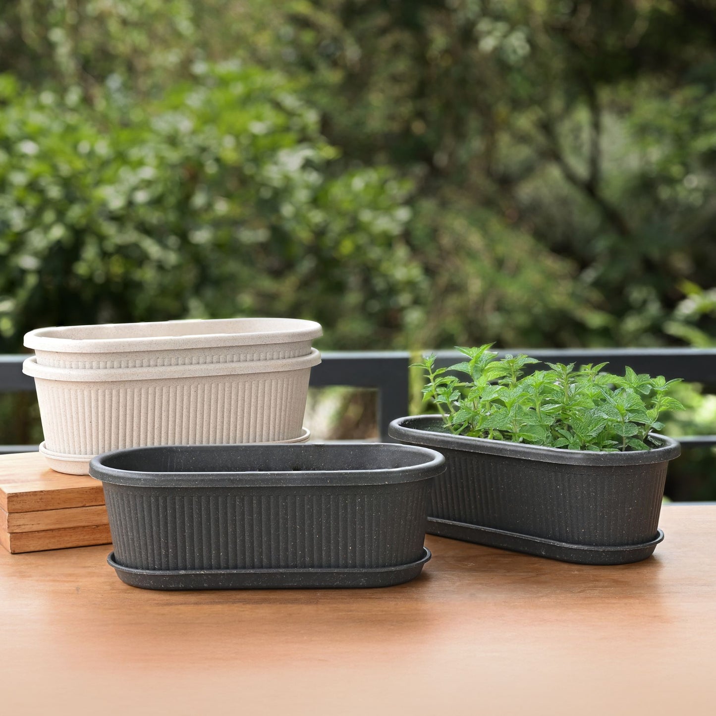 Tray Planters 12 Inch