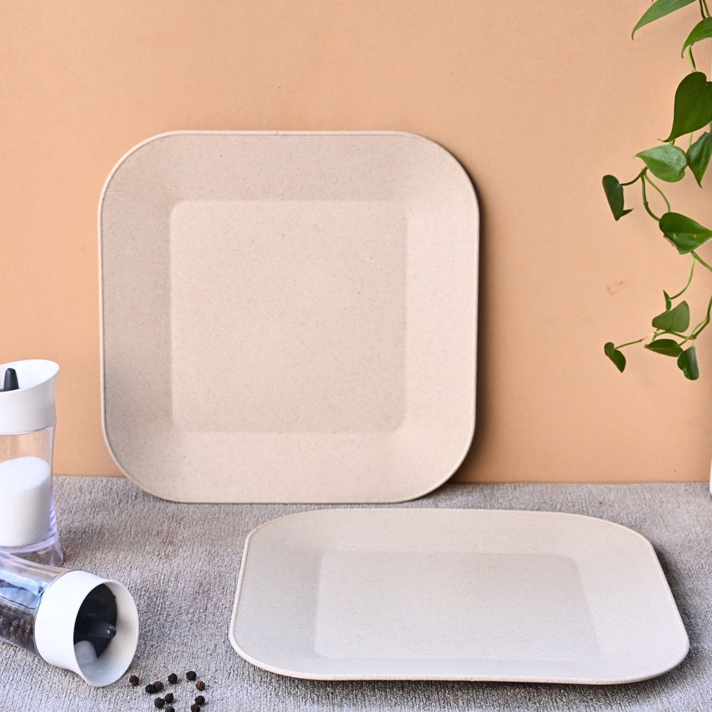 Picnic Plate 9 inch
