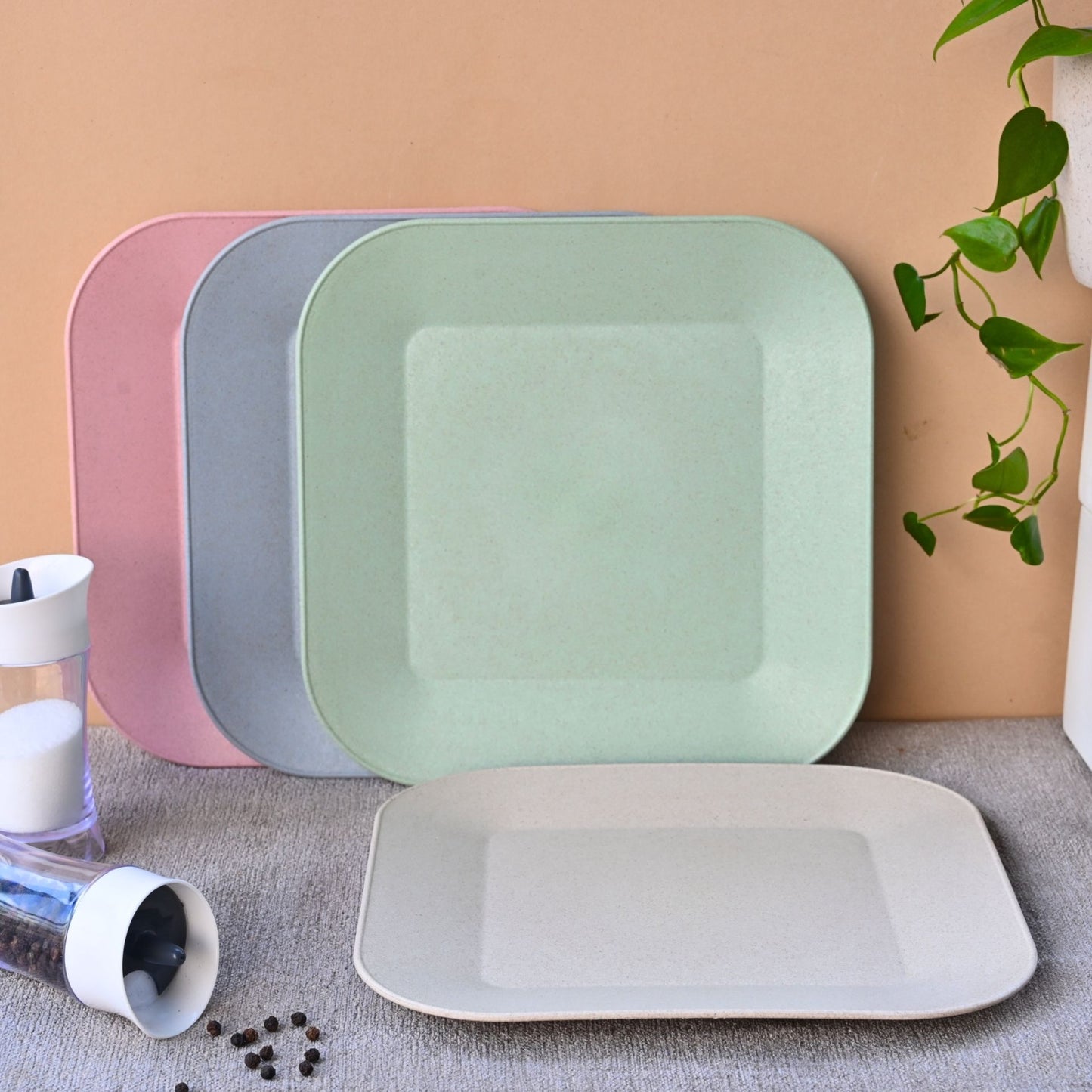 Picnic Plate 9 inch