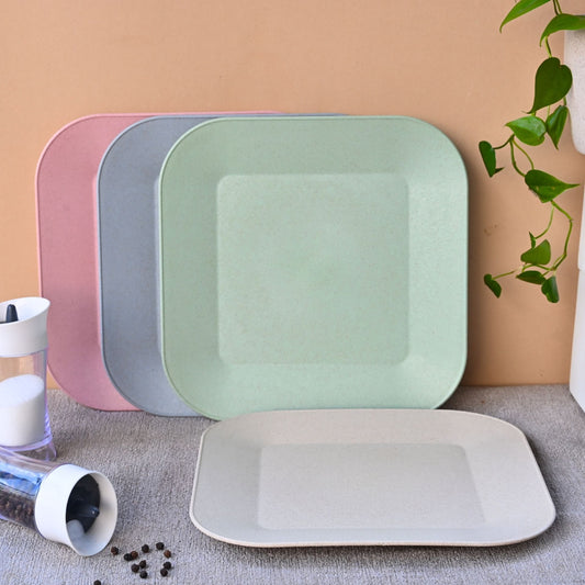 Picnic Plate 9 inch