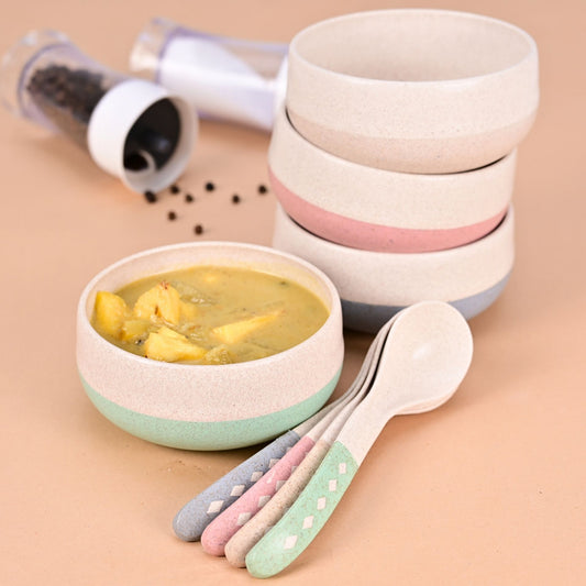 Soup Bowl 250 ML with Spoon