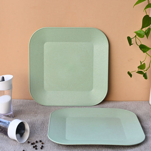 Picnic Plate 9 inch
