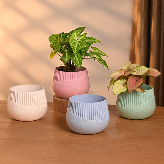 Oraa 4 inch small pots