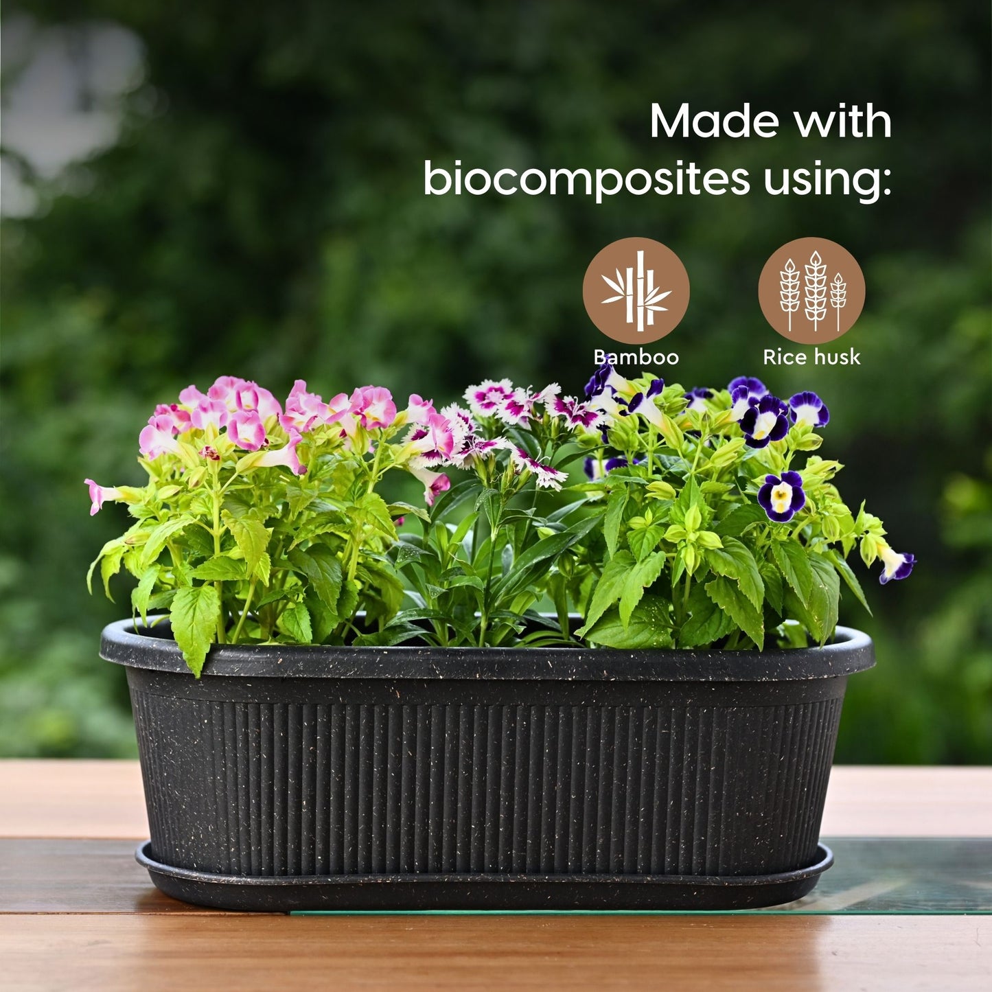 Tray Planters 12 Inch