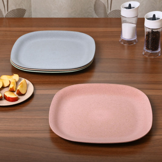 Dinner Plate 11 inches