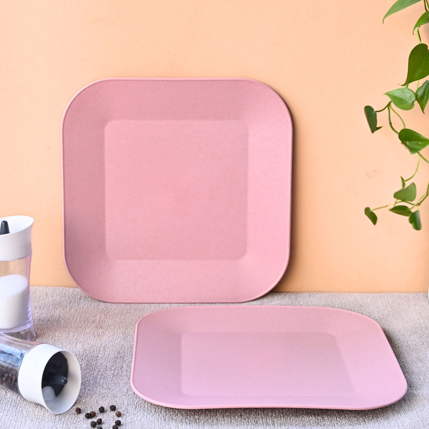 Picnic Plate 9 inch