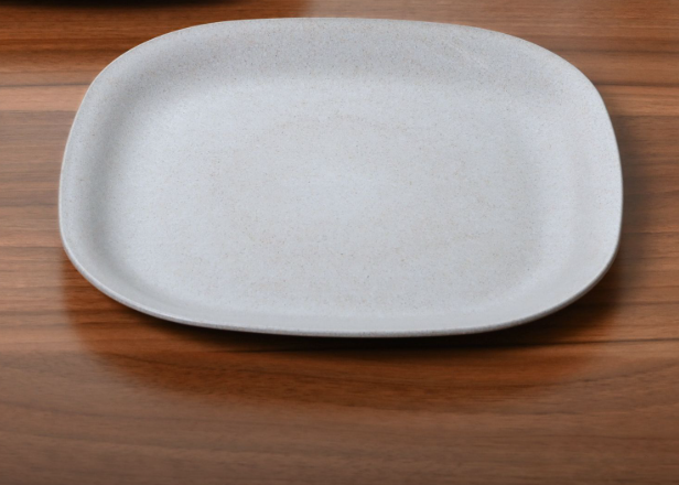 Dinner Plate 11 inches
