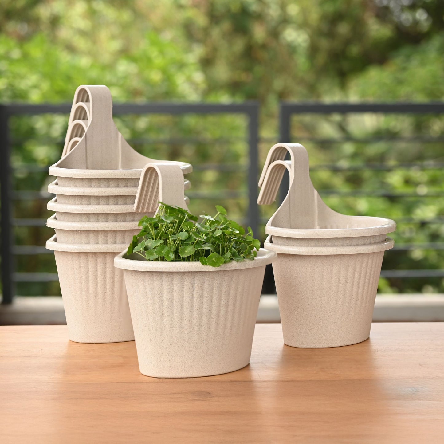 Ecotrend Hanging 10 Inches set of 8