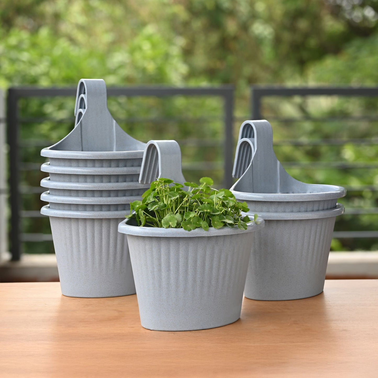 Ecotrend Hanging 10 Inches set of 8