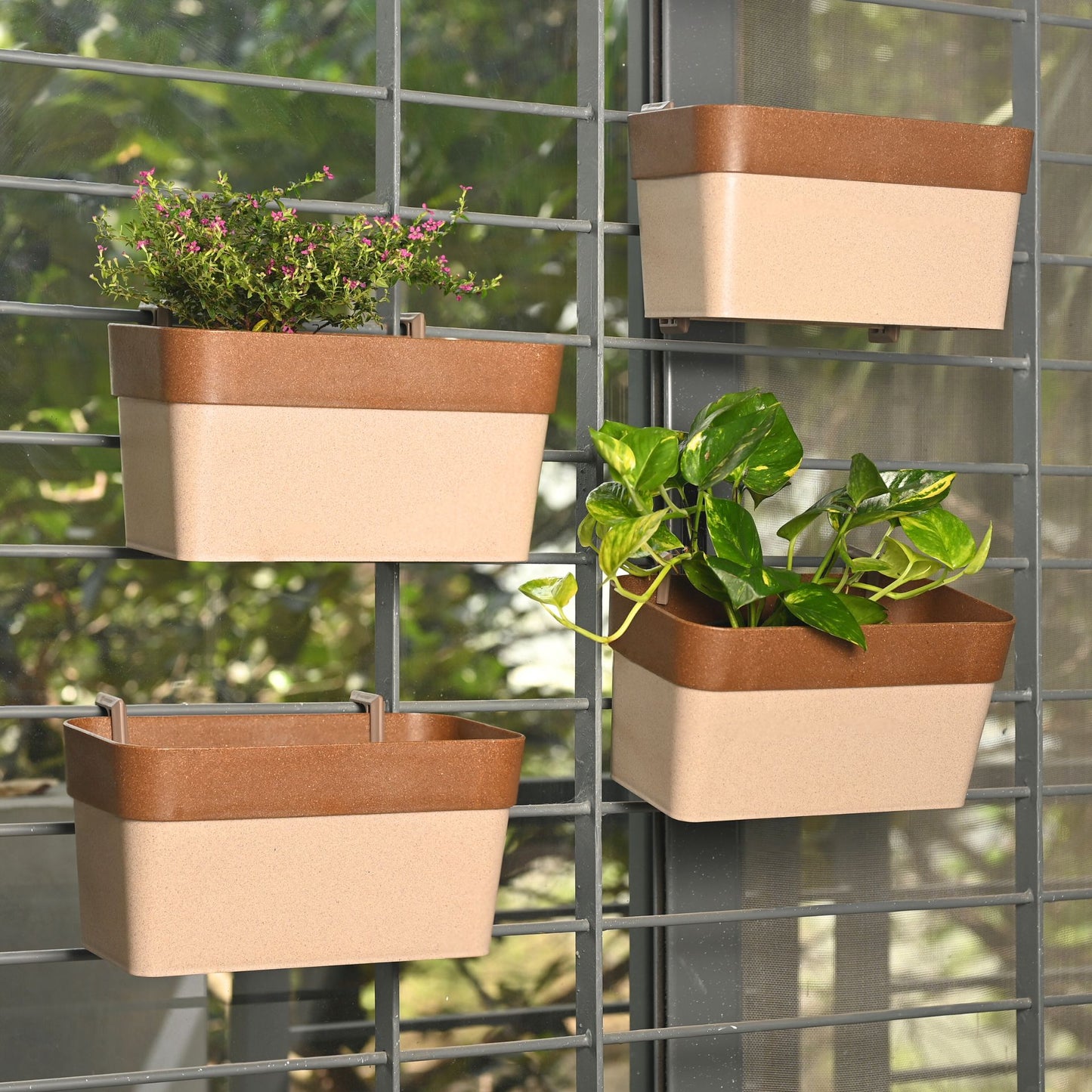 Hanging Planters 12 Inches