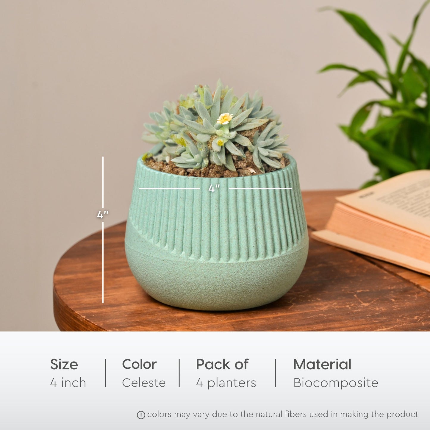Oraa 4 inch small pots