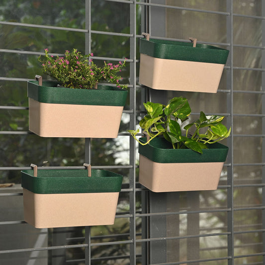 Hanging Planters 12 Inches