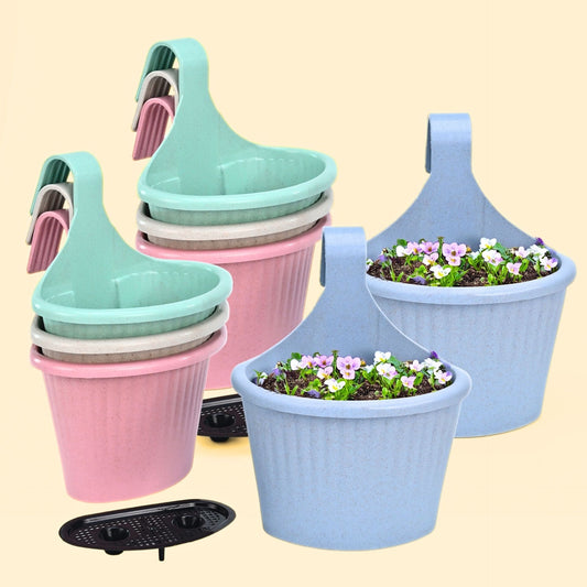 Ecotrend Hanging 10 Inches set of 8