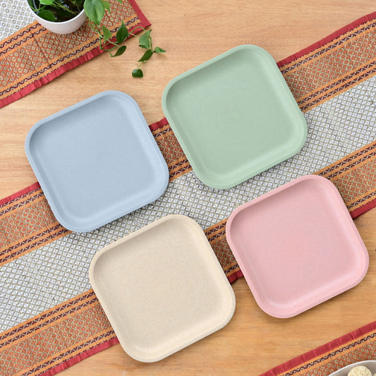 Snack Plates 8 inch