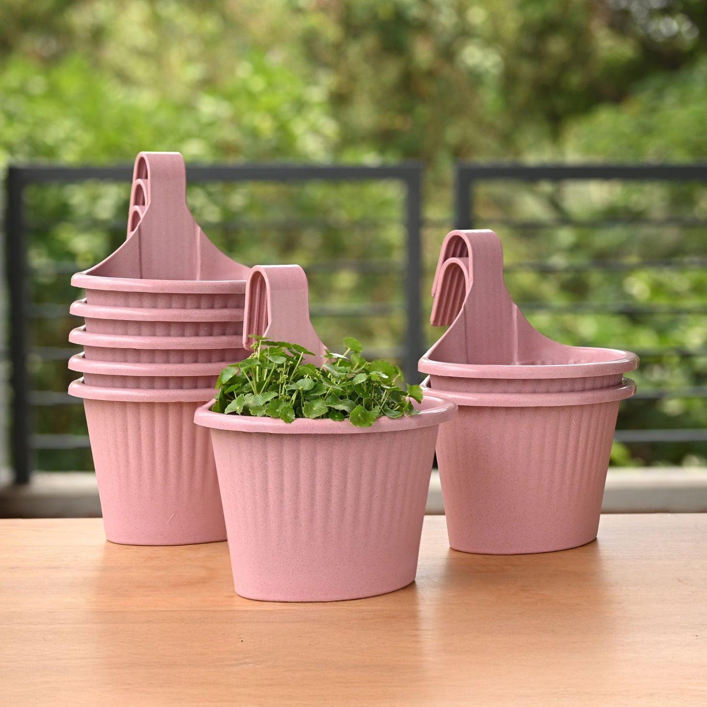 Ecotrend Hanging 10 Inches set of 8