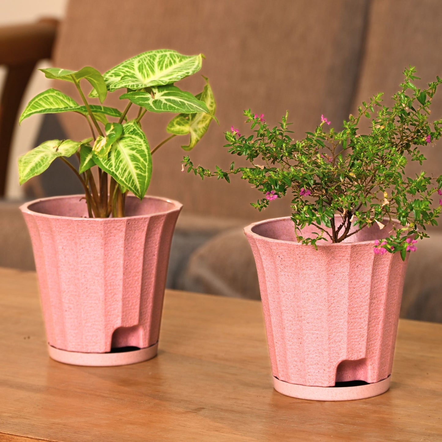 Ace Planter 5 Inches Self Watering Plant