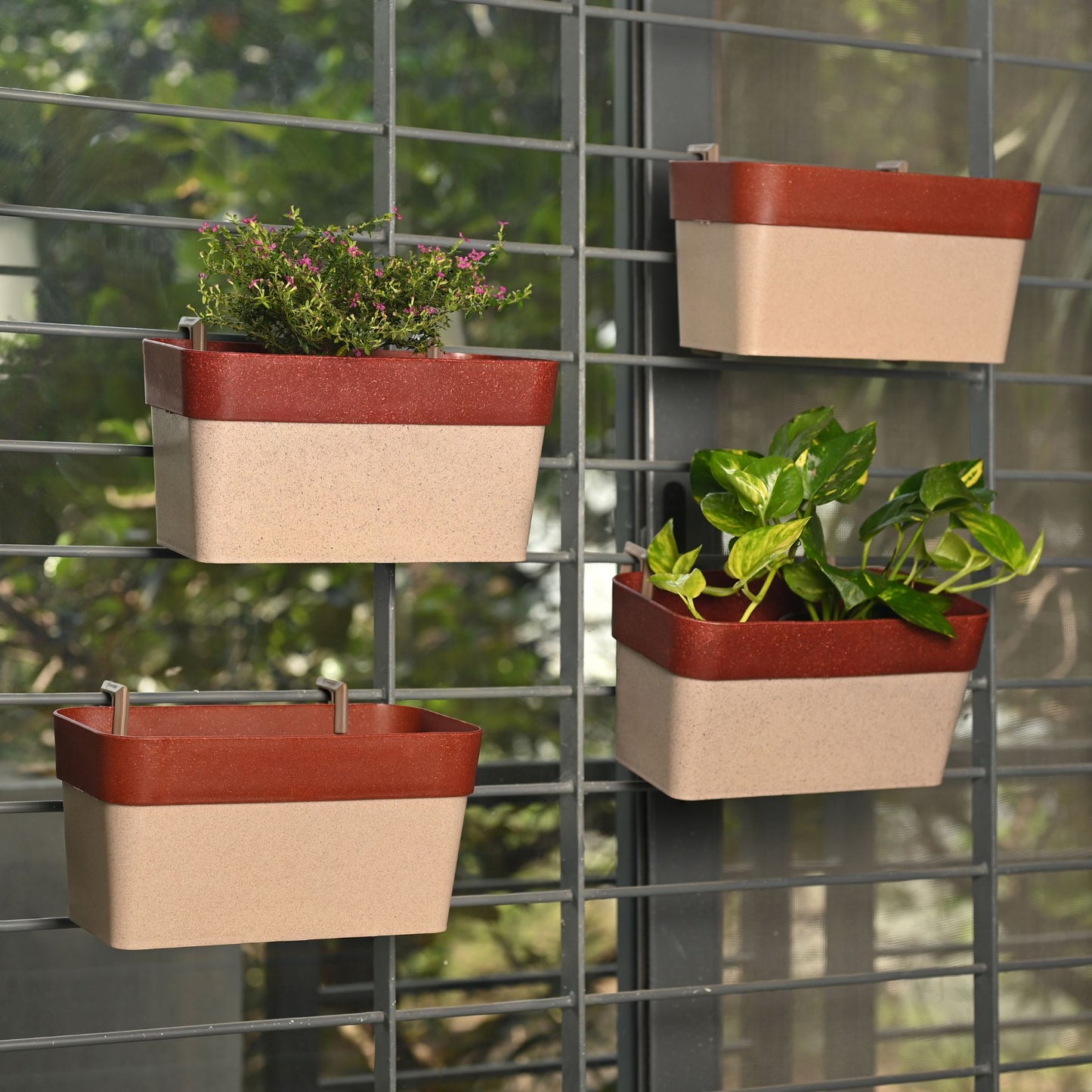 Hanging Planters 12 Inches